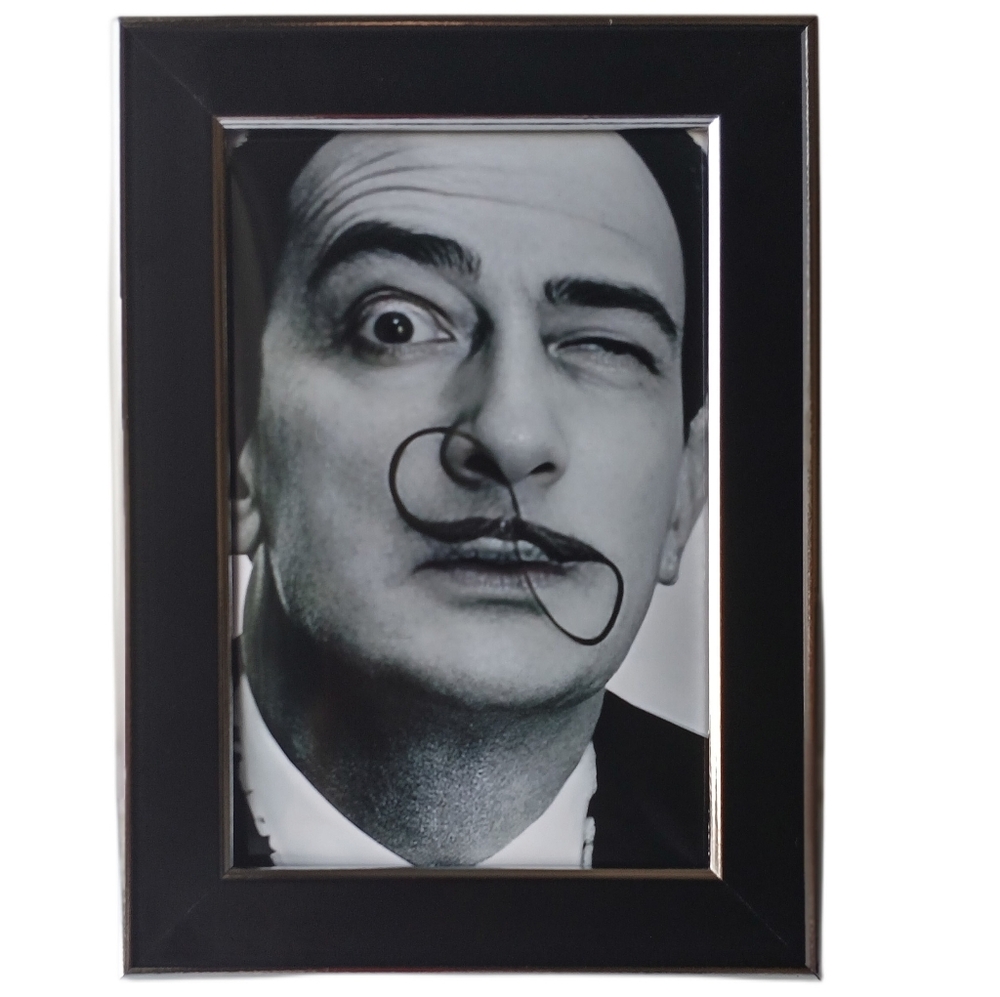 Salvador Dali surrealism artists art contemporary home decor frame photo print